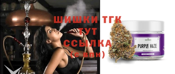 spice Арсеньев